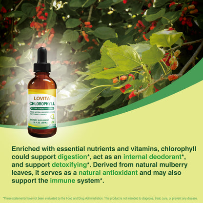 LOVITA Chlorophyll Liquid Drops – 120 mg/mL, Mint Flavor, 60 Servings