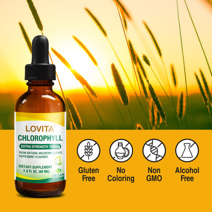 LOVITA Chlorophyll Liquid Drops – 120 mg/mL, Mint Flavor, 60 Servings