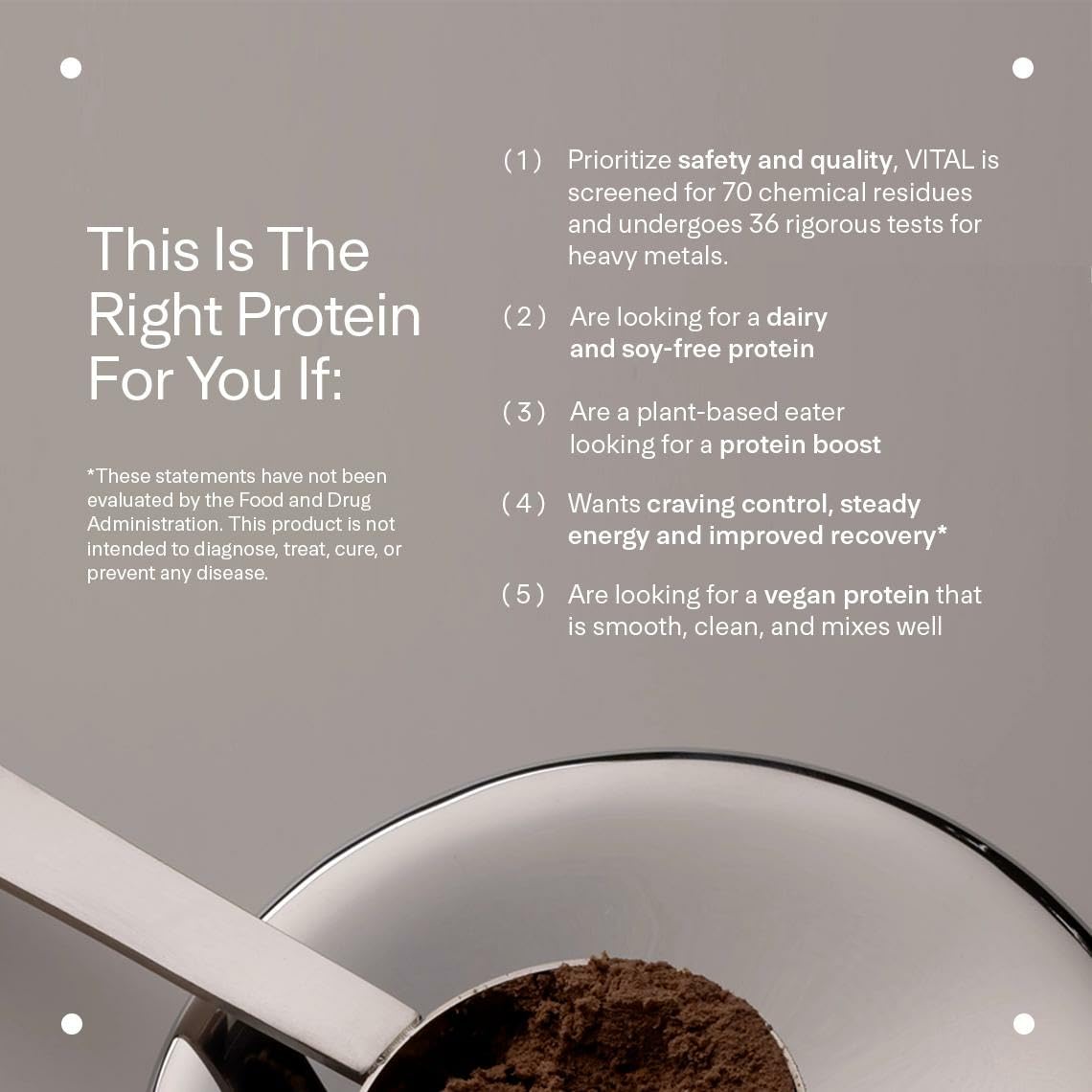 LTH Vital Vegan Protein - Trusted by Life Time Members | Plant-Based Pea Protein - Chocolate, 30 Servings
