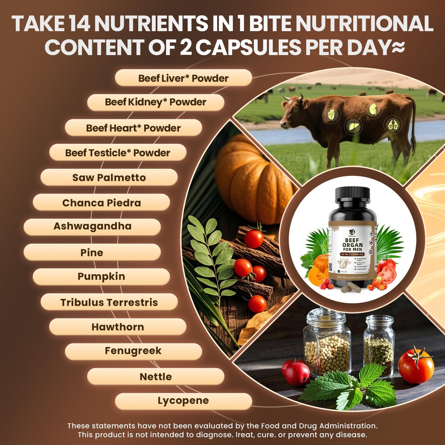 Lukaree Beef Organ Supplement for Men – 14-in-1 (Liver, Kidney, Heart)