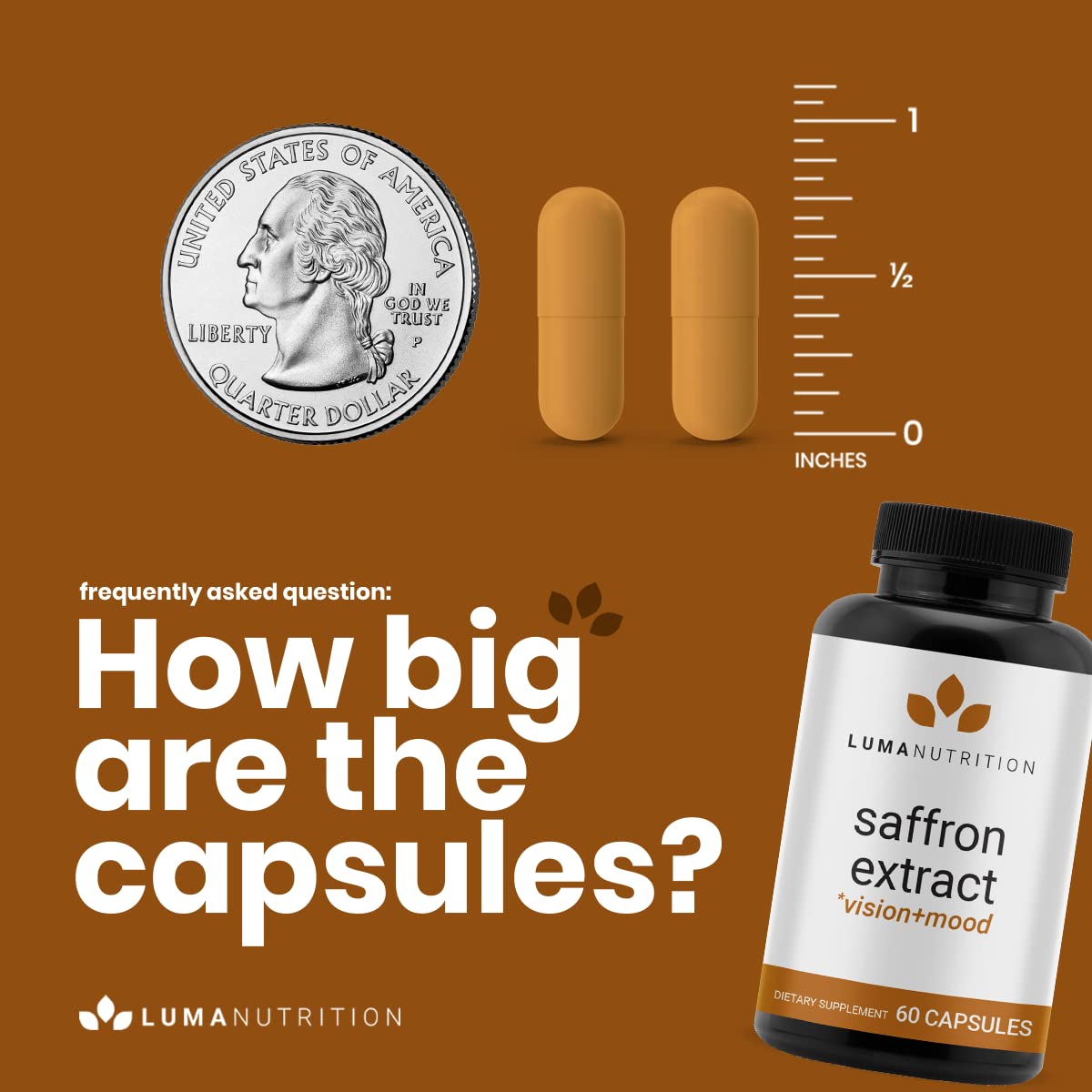 Luma Nutrition Saffron Extract Capsules – Mood & Eye Support – USA Made – 60 Capsules