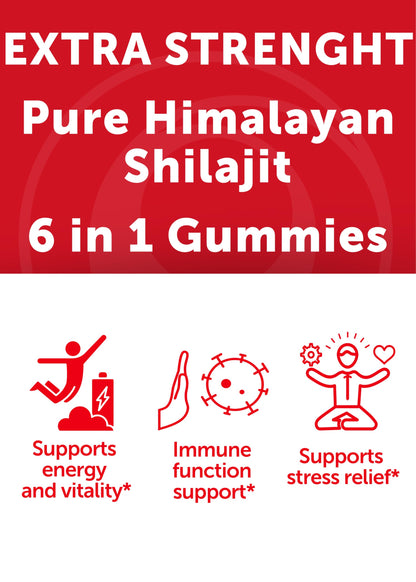 Lunakai USA Made Shilajit Gummies 1200mg with Ashwagandha & Chaga – 60ct