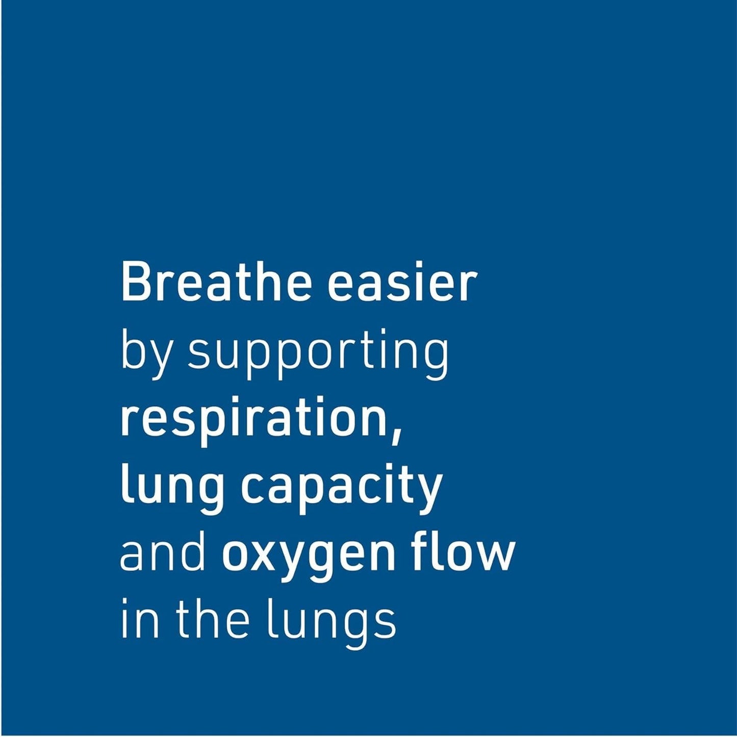 Lung, Bronchial & Sinus Health by Natural Factors – Natural Respiratory Support, Easy Breathing (45 Tablets, 45 Servings)