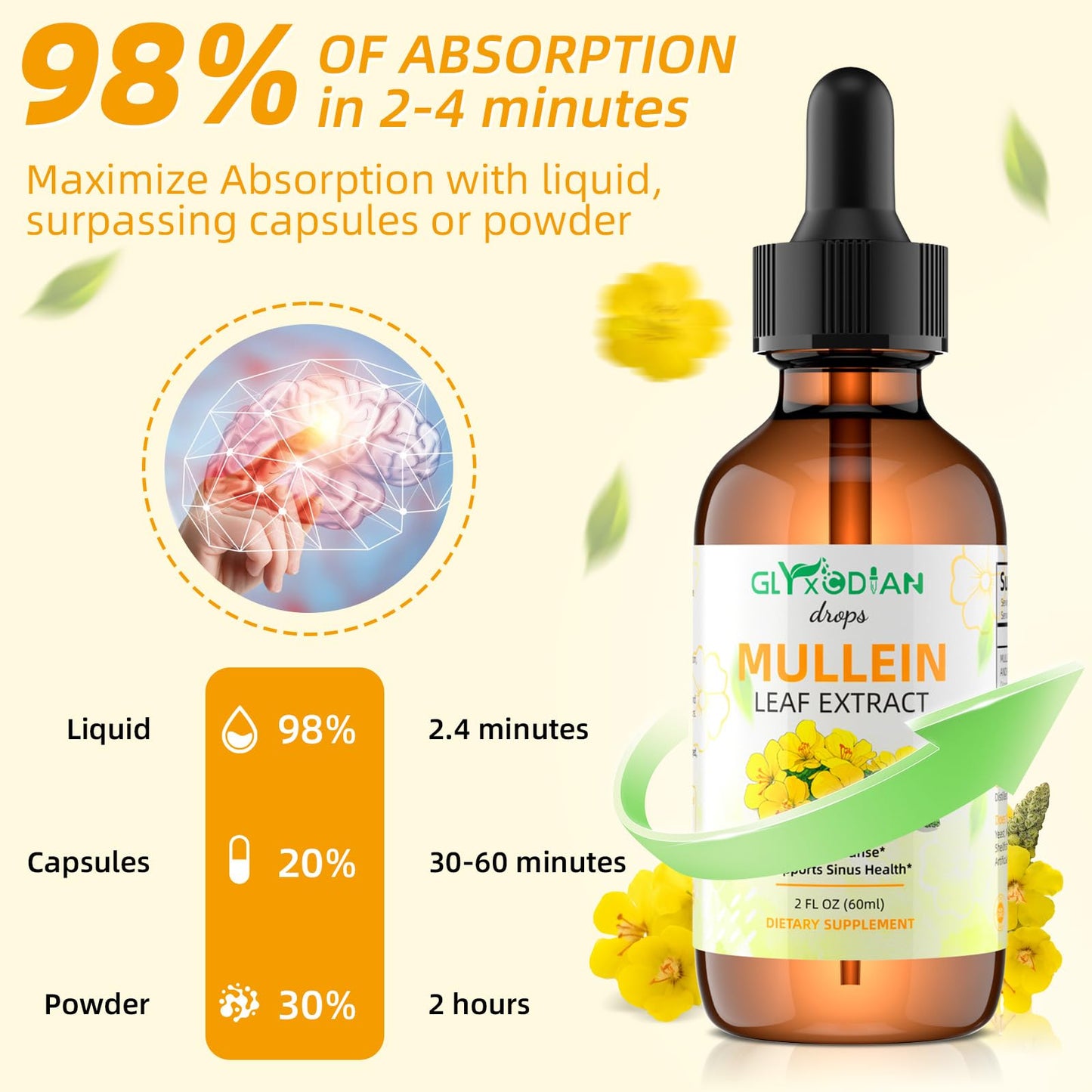 Mullein Leaf Extract Drops for Lungs – High Strength 1200mg Alcohol-Free Liquid Mullein | Lung Cleanse & Immune Support | Vegan & Non-GMO (60-Day Supply)
