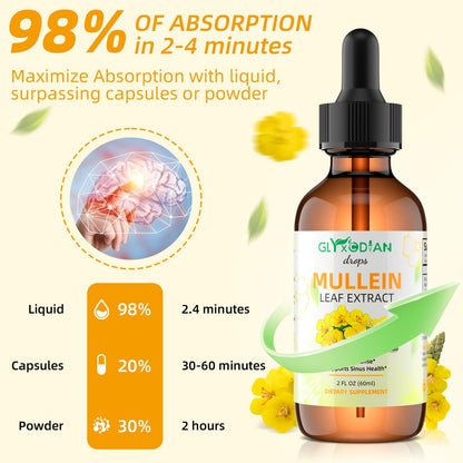 Mullein Leaf Extract Drops for Lungs – High Strength 1200mg Alcohol-Free Liquid Mullein | Lung Cleanse & Immune Support | Vegan & Non-GMO (60-Day Supply)