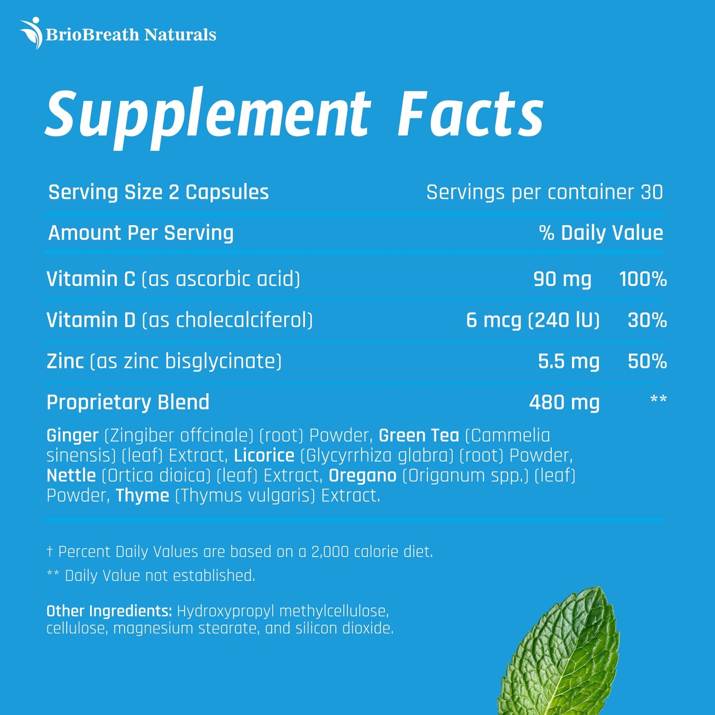 Lung Support Supplement - Natural Lung Cleanse & Detox - Made in USA - 60 Capsules | Vegan
