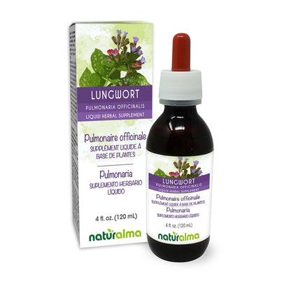 Naturalma Lungwort Alcohol-Free Tincture (Pulmonaria officinalis) - 4 fl oz Drops | Vegan