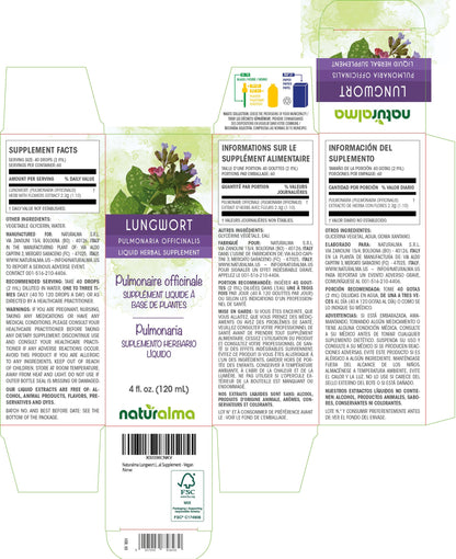 Naturalma Lungwort Alcohol-Free Tincture (Pulmonaria officinalis) - 4 fl oz Drops | Vegan
