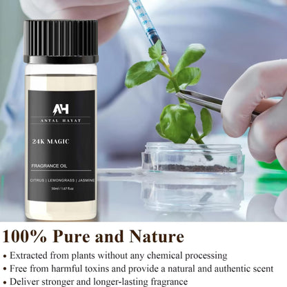 24K Magic Diffuser Oil 50ml – Citrus, Lemongrass & Jasmine | Antal Hayat