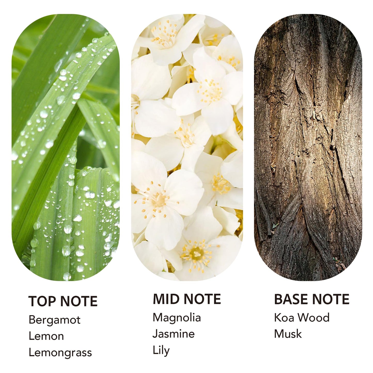 Luxury Hotel Scent Diffuser Oil – Bergamot Lemongrass (200ml) | Waterless & Car Diffuser
