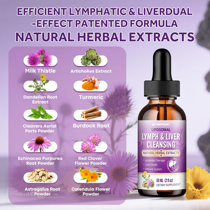 Lymphatic Drainage & Liver Cleanse Drops – Liposomal Milk Thistle, Echinacea, Artichoke, Dandelion, Turmeric (Lymph-Liver) 4 Fl Oz