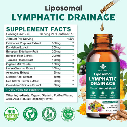 Lymphatic Drainage Drops - 11 in 1 Lymphatic Supplement for Immune, Lymph System & Liver Detox - with Echinacea, Horse Chestnut, Dandelion, Elderberry & Burdock - Raspberry Flavor, Vegan, 2 Fl Oz