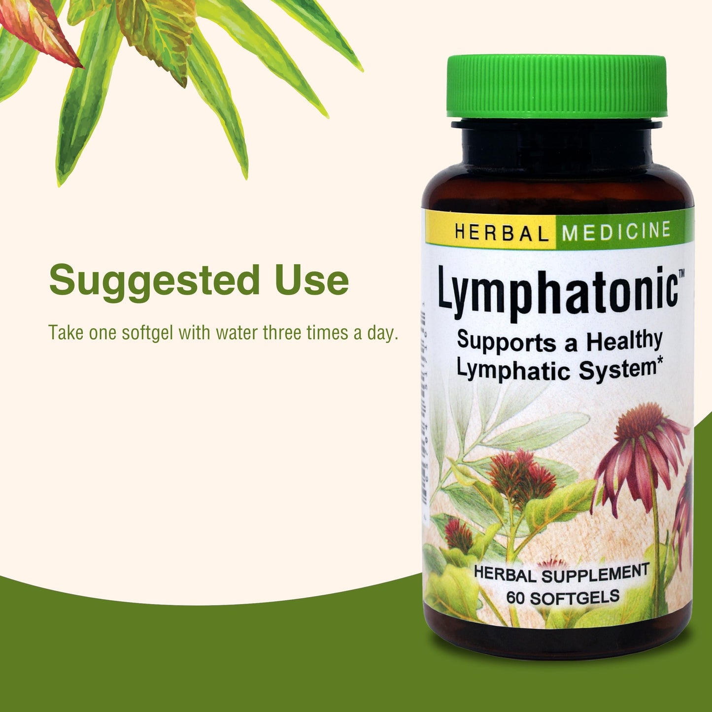 Herbs ETC. Lymphatonic Sg, 60 CT | Lymphatic Support Herbal Supplement