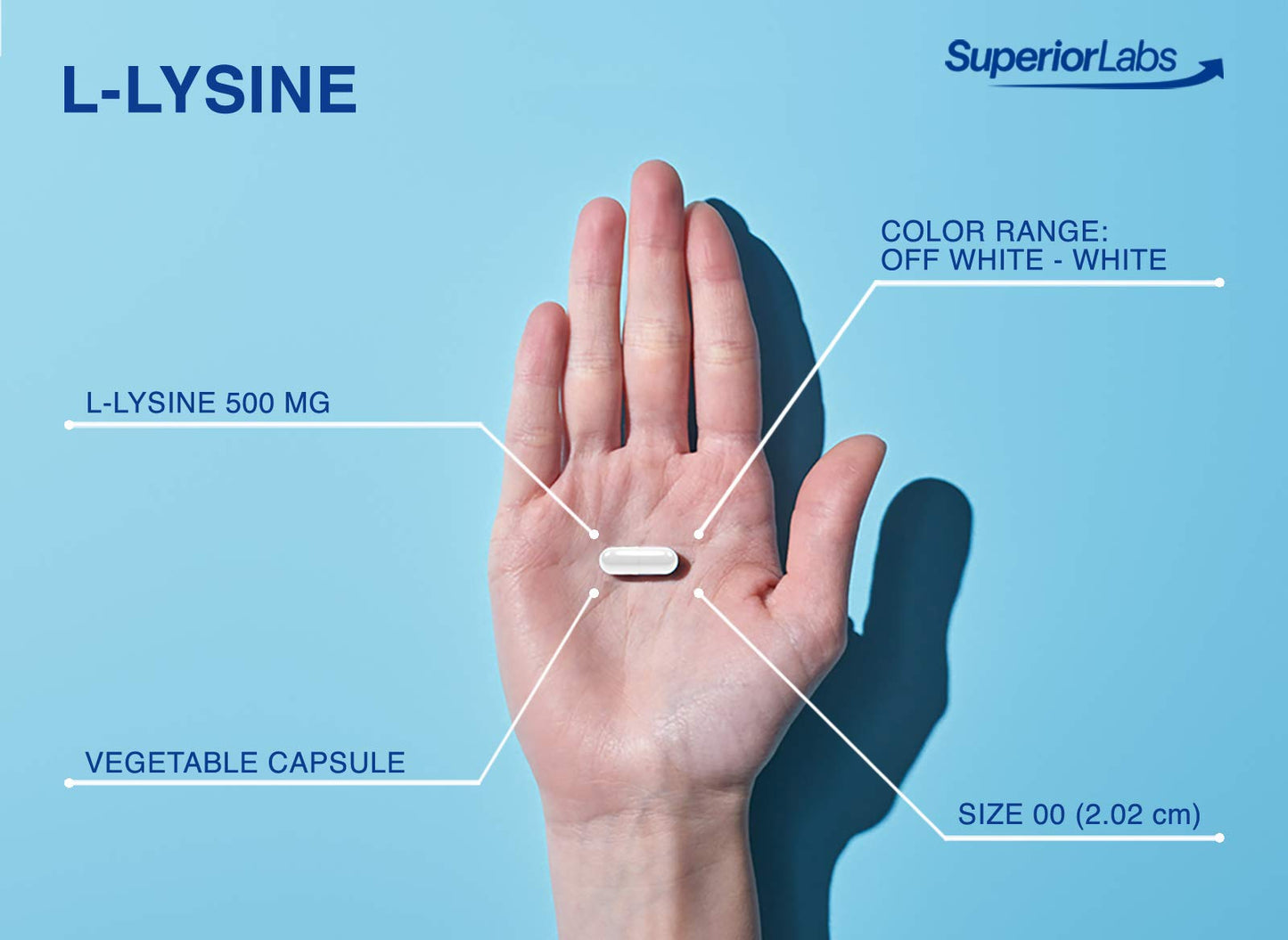Superior Labs L-Lysine 500 mg Capsules – Third-Party Tested, Non-GMO, Gluten Free | 120 Caps