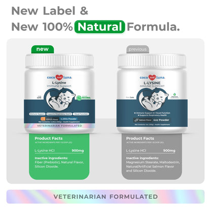 L-Lysine for Cats 900mg per Scoop – Immune, Eye & Respiratory Support