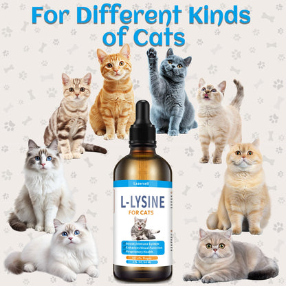 2PCS Lysine for Cats – Immune Support, L-Lysine Supplement for Feline Respiratory Health