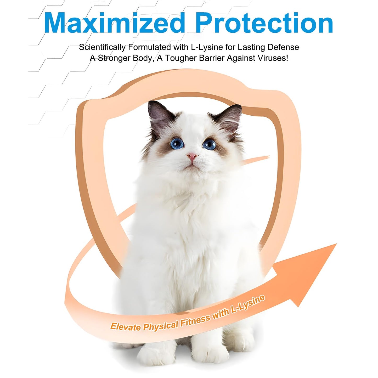 L-Lysine for Cats – 900mg (2 Scoops) Immune Support, Eye & Respiratory Health – 4.23oz (120g)