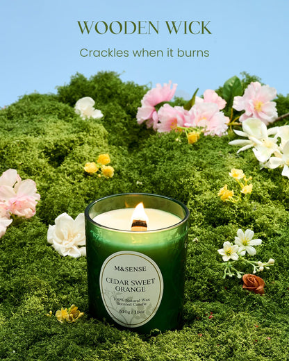 M&SENSE Cedarwood Orange Christmas Candle | 18oz Soy Wax, 100-Hour Burn