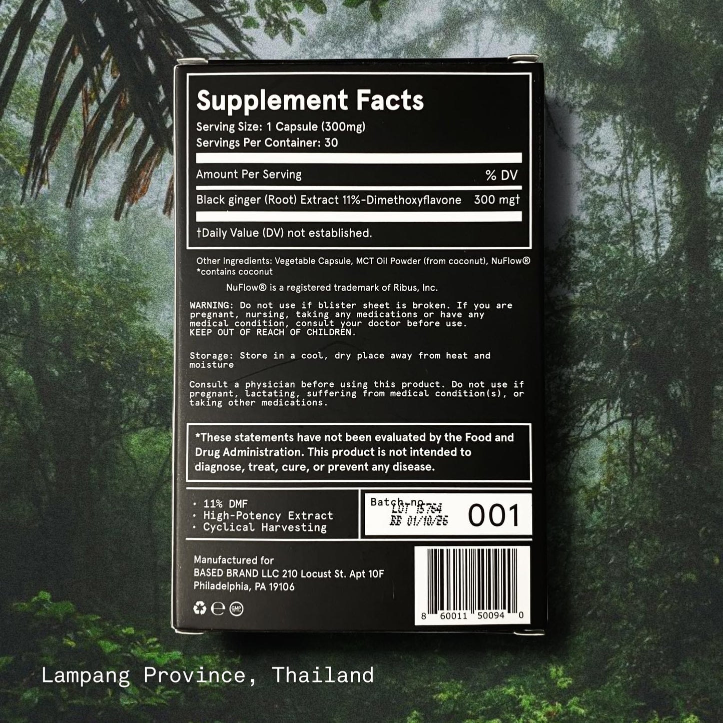 Based Supplements Black Ginger - Premium Thai Root Extract (300mg, 30 Capsules) | 16% Methoxyflavones & 11% DMF