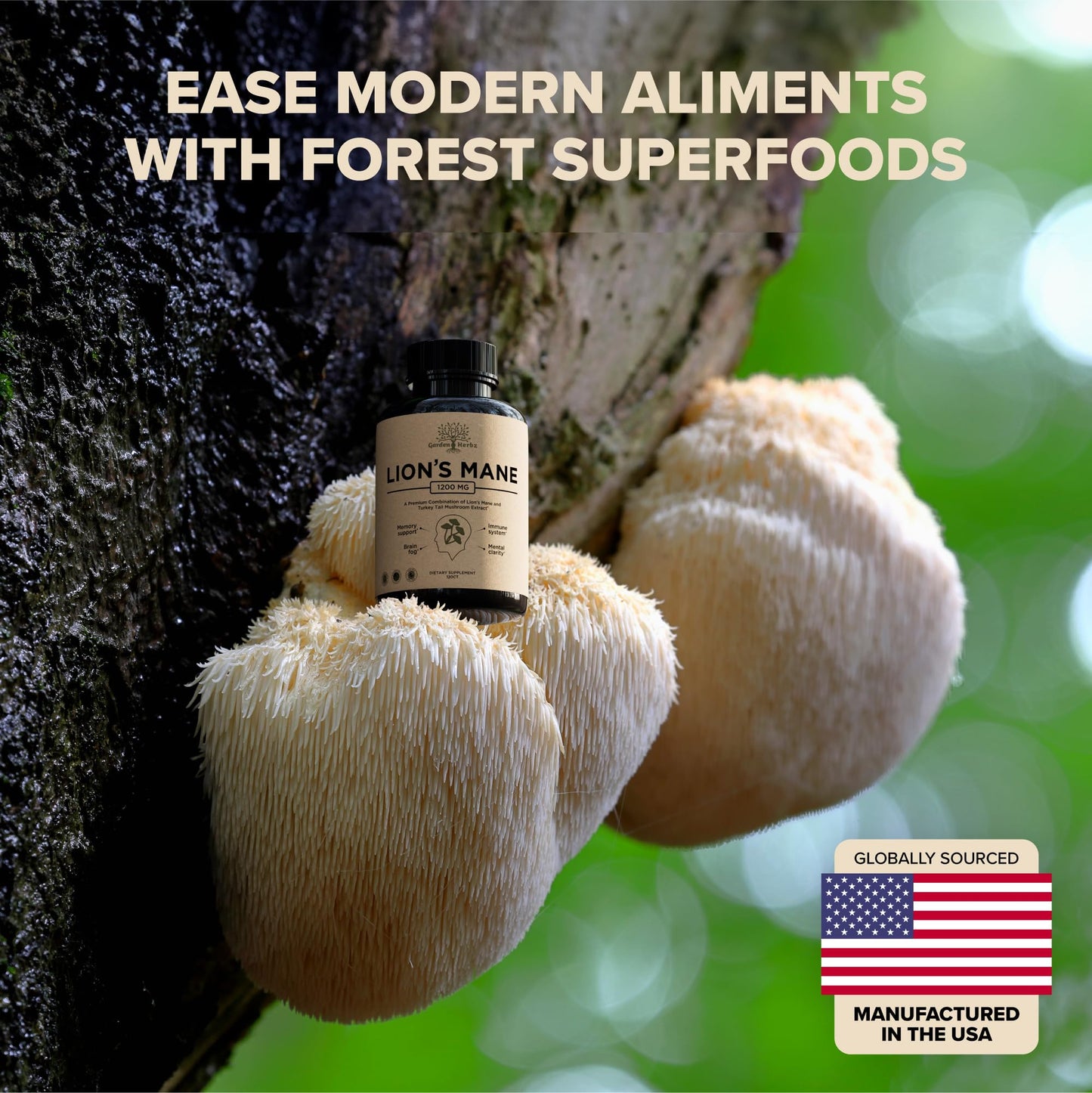 Lions Mane + Turkey Tail Capsules – 1200 Mg Lion's Mane, Non-GMO, 120 Caps | Nootropic Brain Support