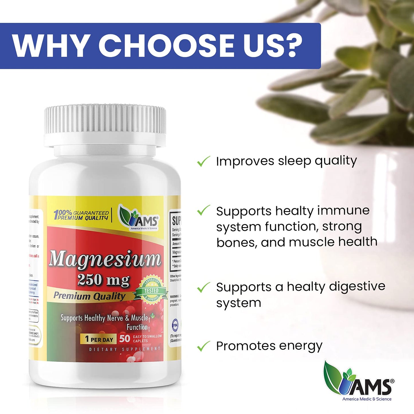America Medic & Science Magnesium 250 mg (150 Caplets) – 3 Bottles | Magnesium Oxide Supplement