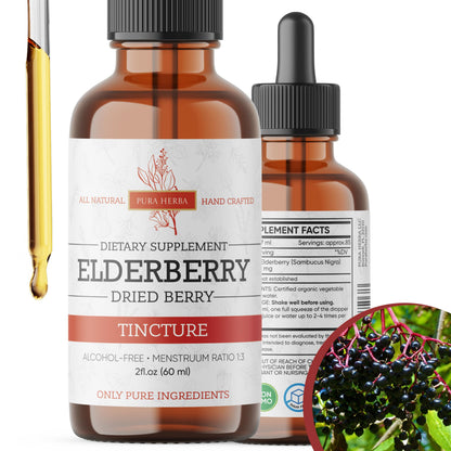 Elderberry Tincture – Organic Elderberry Extract | Immune Support | Alcohol-Free 2 fl oz