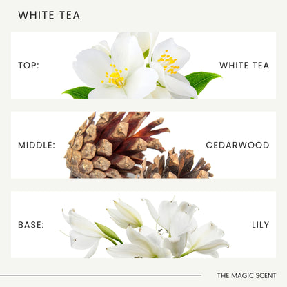 The Magic Scent White Tea Diffuser Oil - Hotel & Home Luxury Scents - 0.3 oz / 10 mL