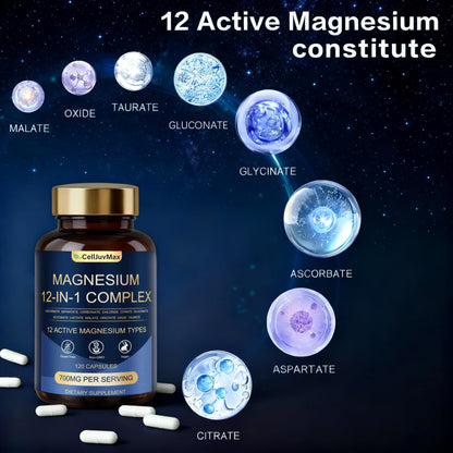 Magnesium 12-IN-1 Complex – 700mg per Capsule, 120 Vegan Capsules