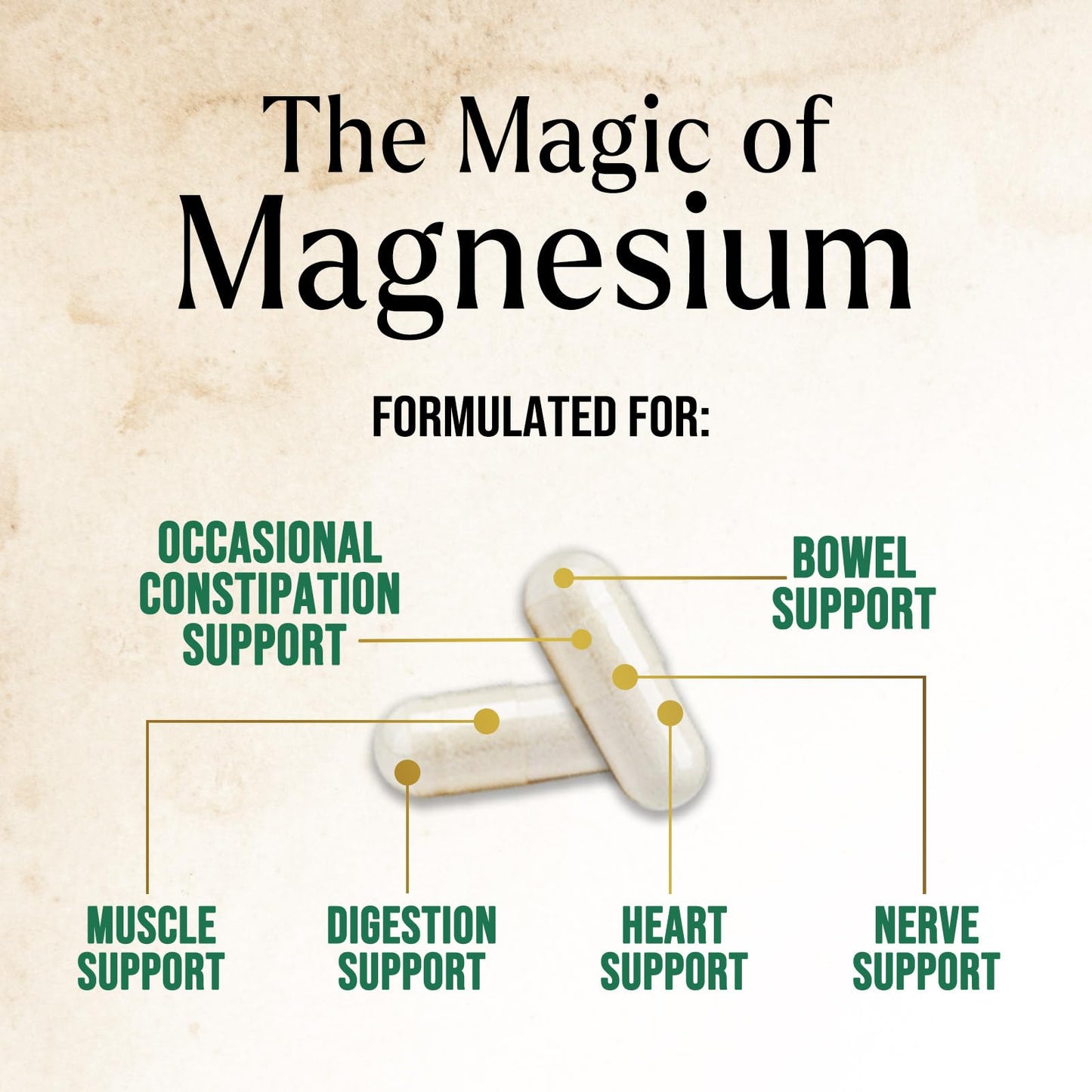Magnesium Citrate 1000mg - High Absorption Magnesium, 240 Capsules