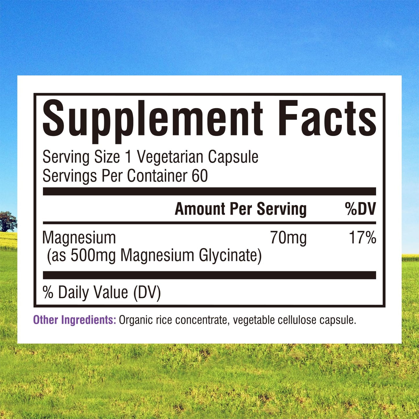 Innate Vitality Magnesium Glycinate 500mg | 70mg Elemental Magnesium per Capsule | High Absorption, Non-GMO & Gluten-Free | 60 Vegan Capsules