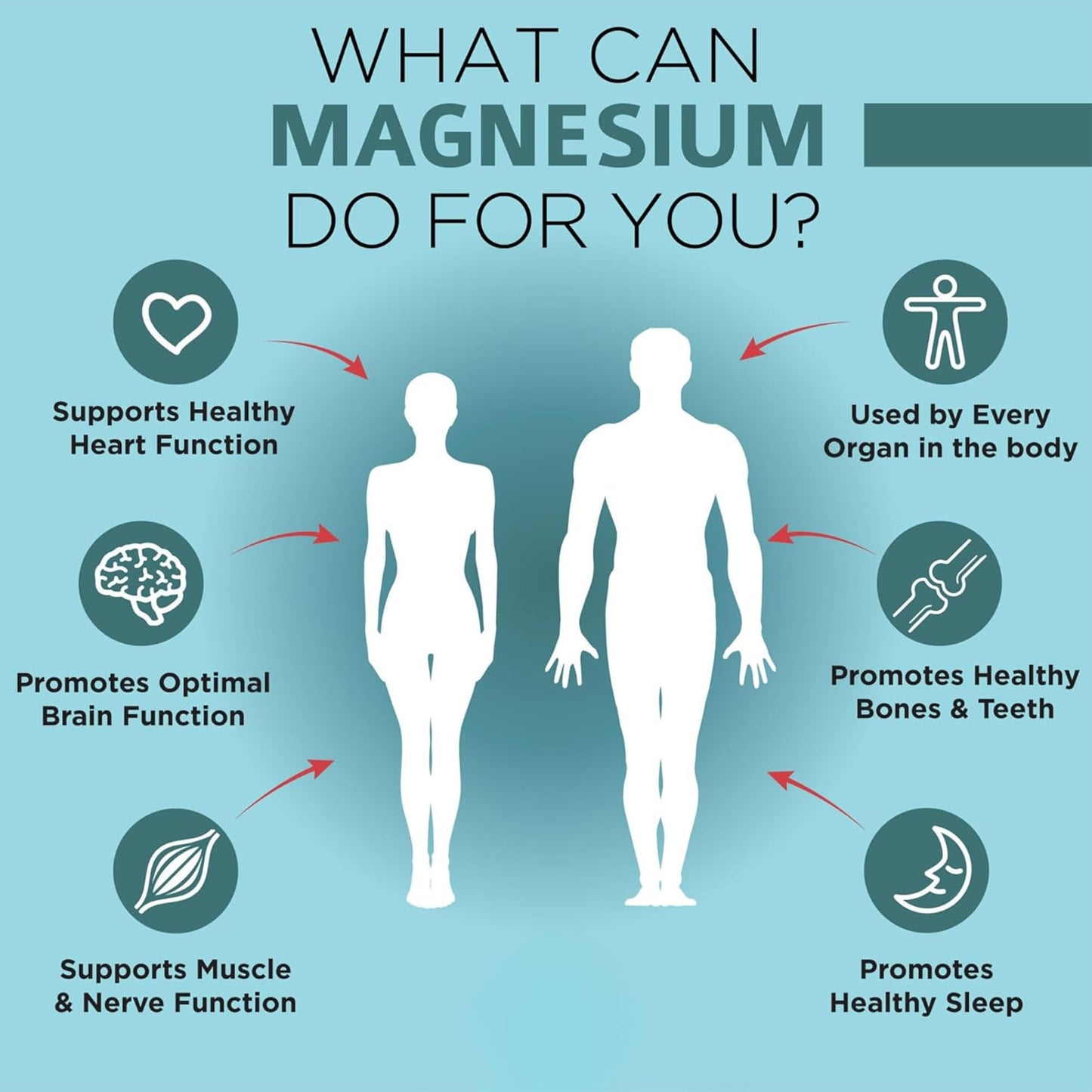 OmniBiotics Magnesium Glycinate Supplement – Albion TRAACS Bisglycinate | Sleep, Muscle, Nerve & Heart Health – 120 Vegan Capsules