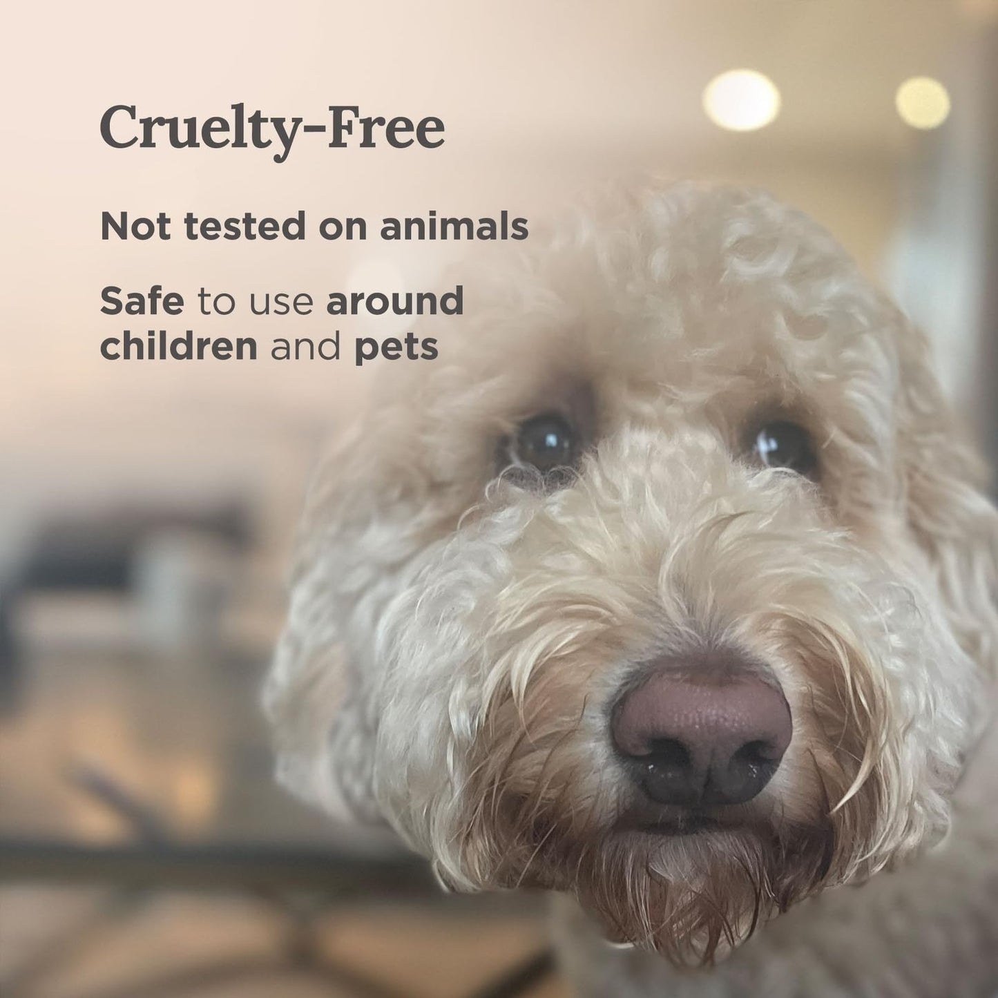 MAGNIFICENT 101 Moon Sage Aromatherapy Candle - 6 oz White Soy Wax, 35-Hour Burn for Energy Cleansing & Manifestation