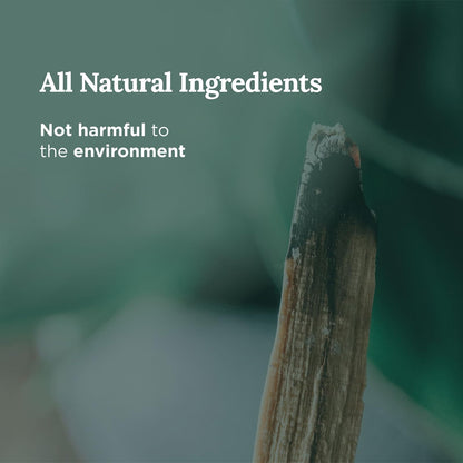 Magnificent 101 Long Lasting Palo Santo Scented Aromatherapy Candle | 14 oz | 56 Hour Burn | Soy Wax for Energy Cleansing, Purification & Manifestation