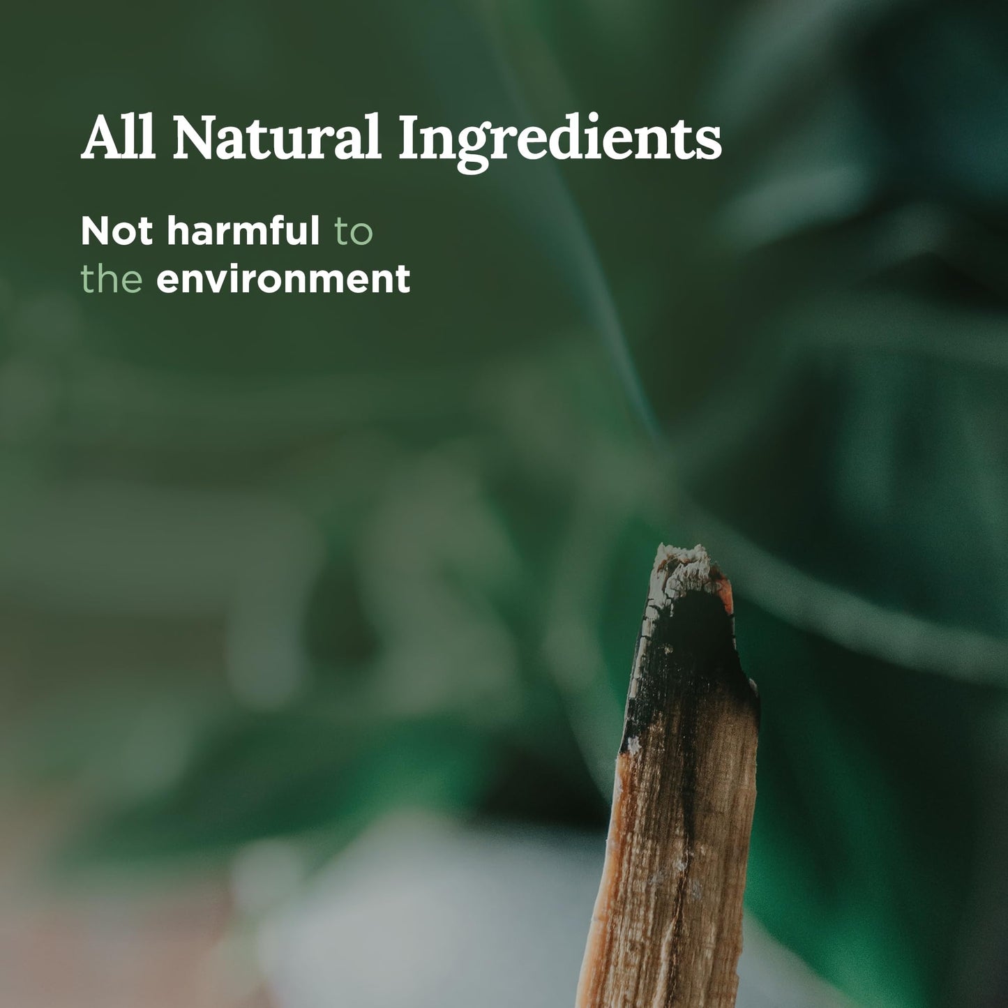 Magnificent 101 Palo Santo Candle – 6 oz, 35h Burn, Energy Cleansing