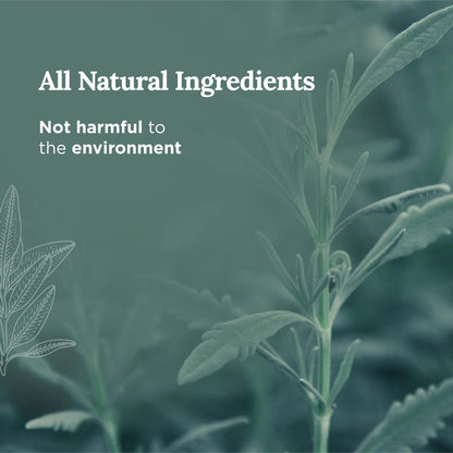 Magnificent 101 Sage + Eucalyptus Soy Candle - 6 oz, 35h Burn