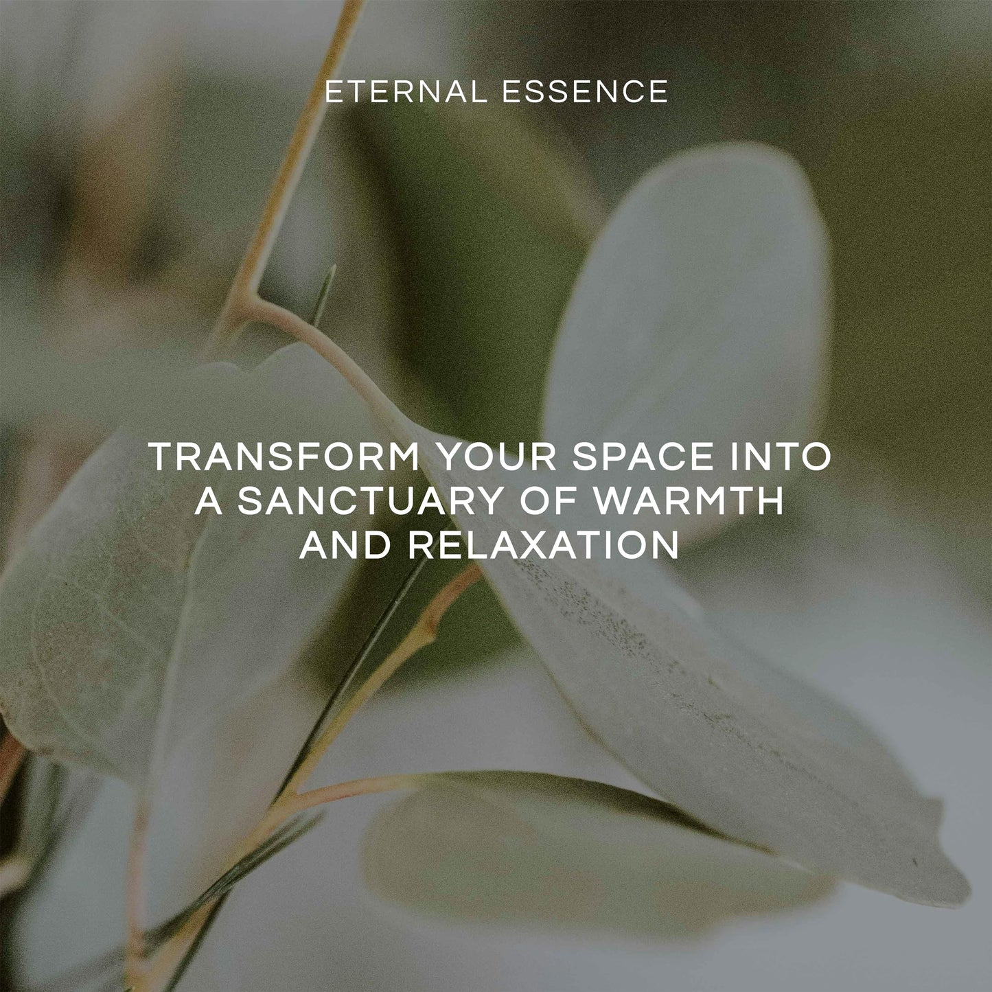 Magnolia 30ml Premium Fragrance Oil by Eternal Essence Oils – Candles, Soaps & Diffusers