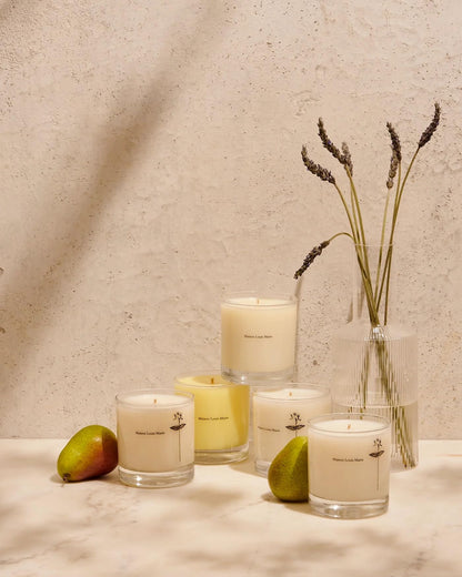 Maison Louis Marie - Antidris Jasmine Soy Wax Candle | Luxury Fragrances for a Modern World (8.5 oz | 240 g)