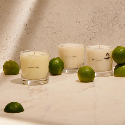 Maison Louis Marie No.01 Scalpay Soy Wax Candle | Luxury Fragrances for a Modern World (8.5 oz / 240 g)