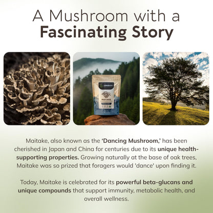 Organic Maitake Mushroom Powder 100g – 10:1 Extract | 16,600mg Raw per Serving | 30% Beta-D-Glucans