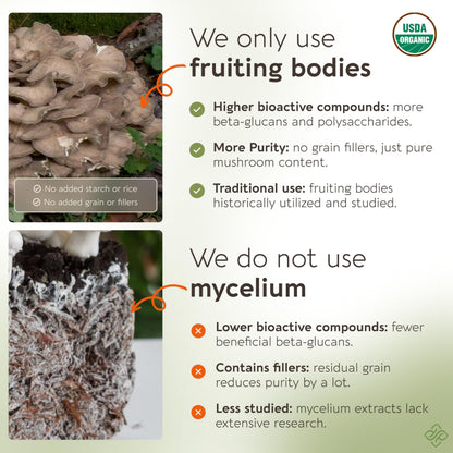 Organic Maitake Mushroom Powder 100g – 10:1 Extract | 16,600mg Raw per Serving | 30% Beta-D-Glucans