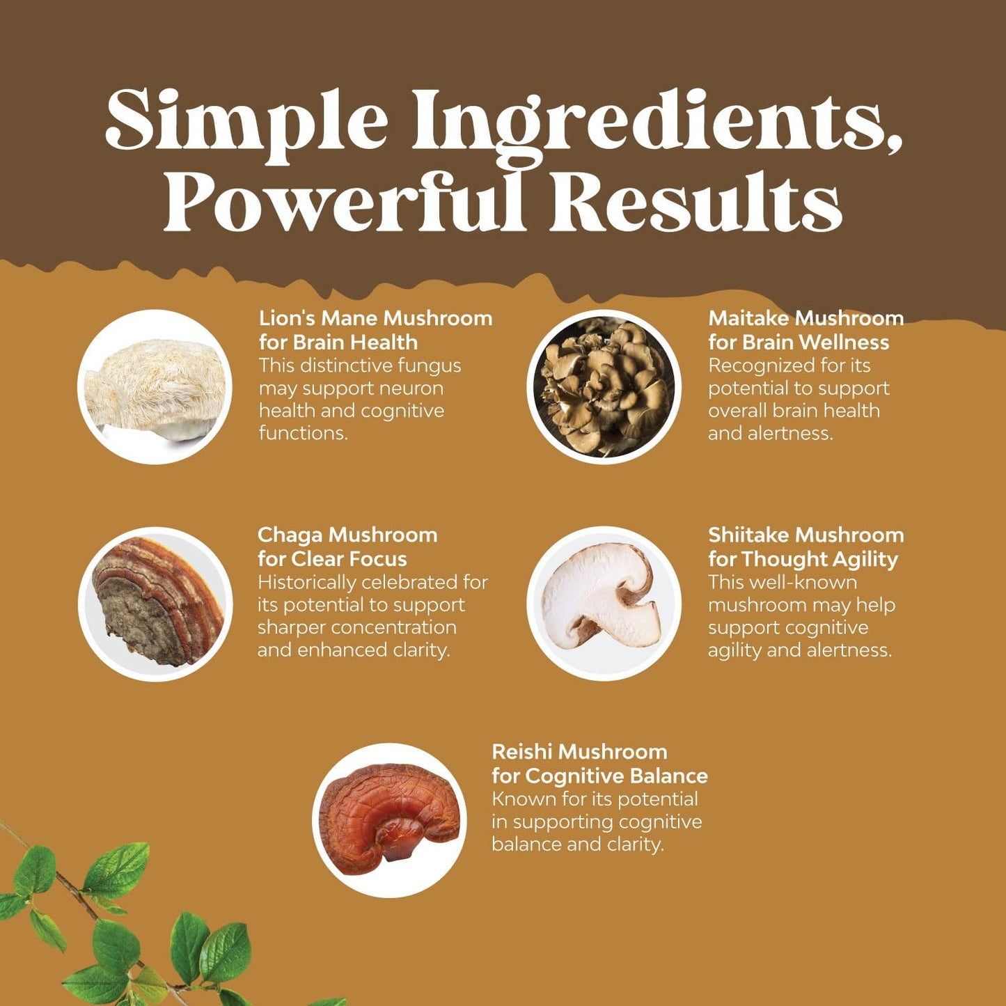 Advanced Lion's Mane Mushroom Supplement - Brain Health & Focus - 120 Caps