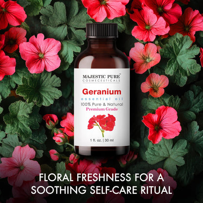 Majestic Pure Geranium Essential Oil - 100% Pure & Natural, 1 Fl Oz