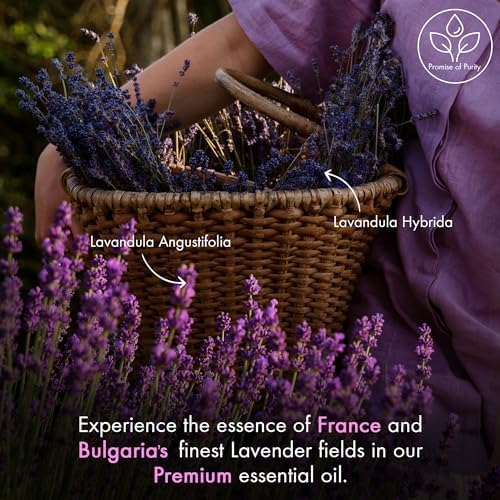 Majestic Pure Lavender Essential Oil with Glass Dropper - 100% Pure & Natural - 4 Fl Oz