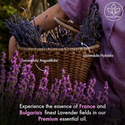 Majestic Pure Lavender Essential Oil with Glass Dropper - 100% Pure & Natural - 4 Fl Oz