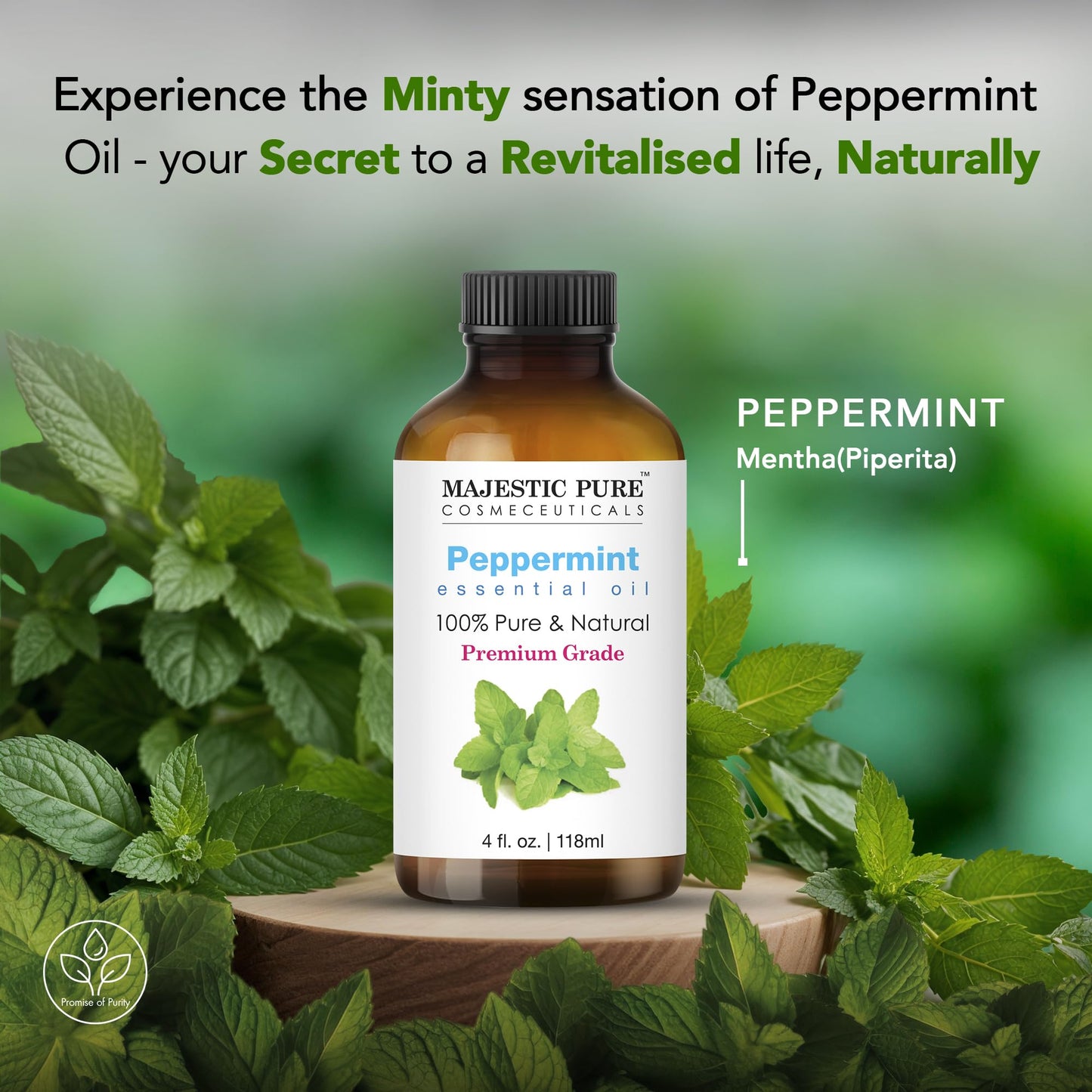 Majestic Pure Peppermint Essential Oil – 4 Fl Oz x 2, 100% Pure & Natural