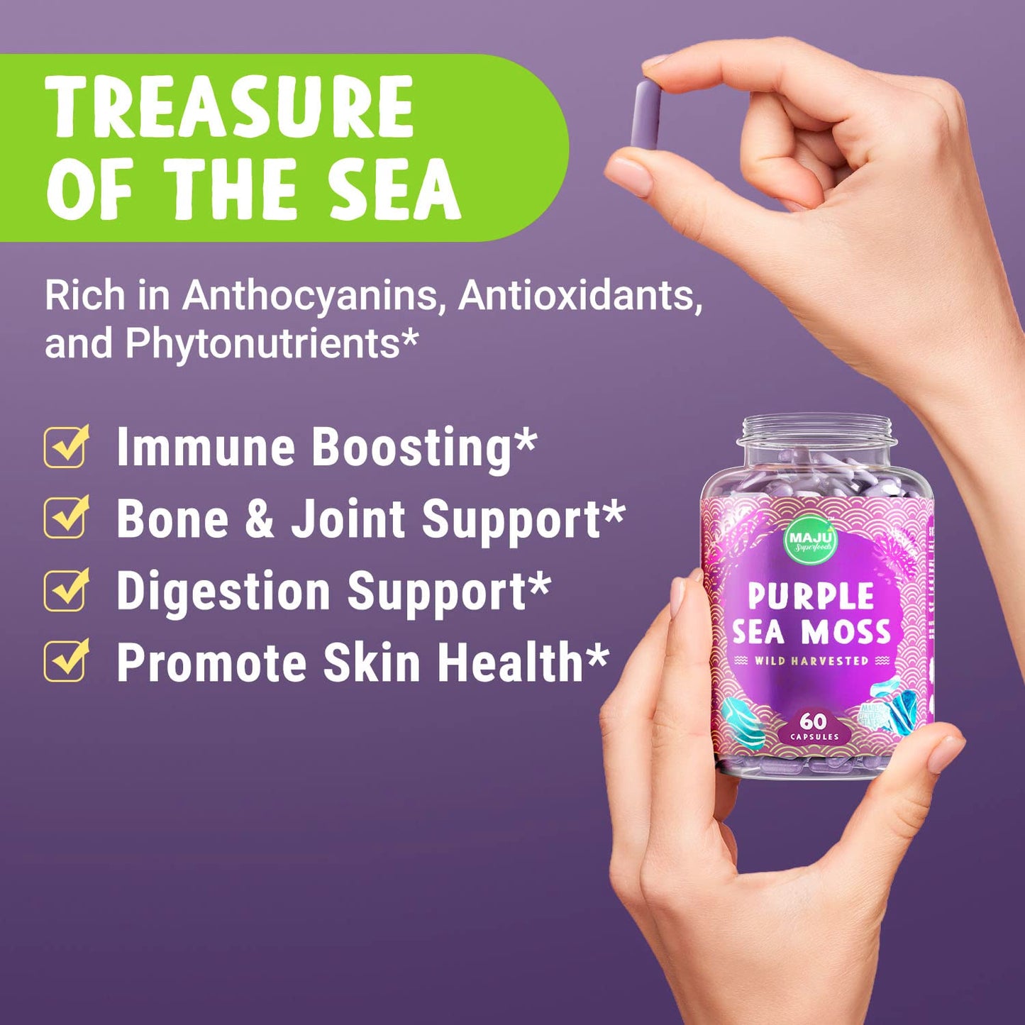 MAJU Purple Sea Moss Capsules 60ct – Extra-Strength Chondrus Crispus, Wild Harvested