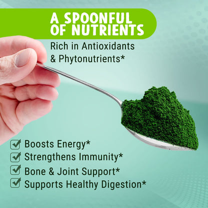MAJU Organic Spirulina Powder .5 lb – Microcystin Free & Non-Irradiated