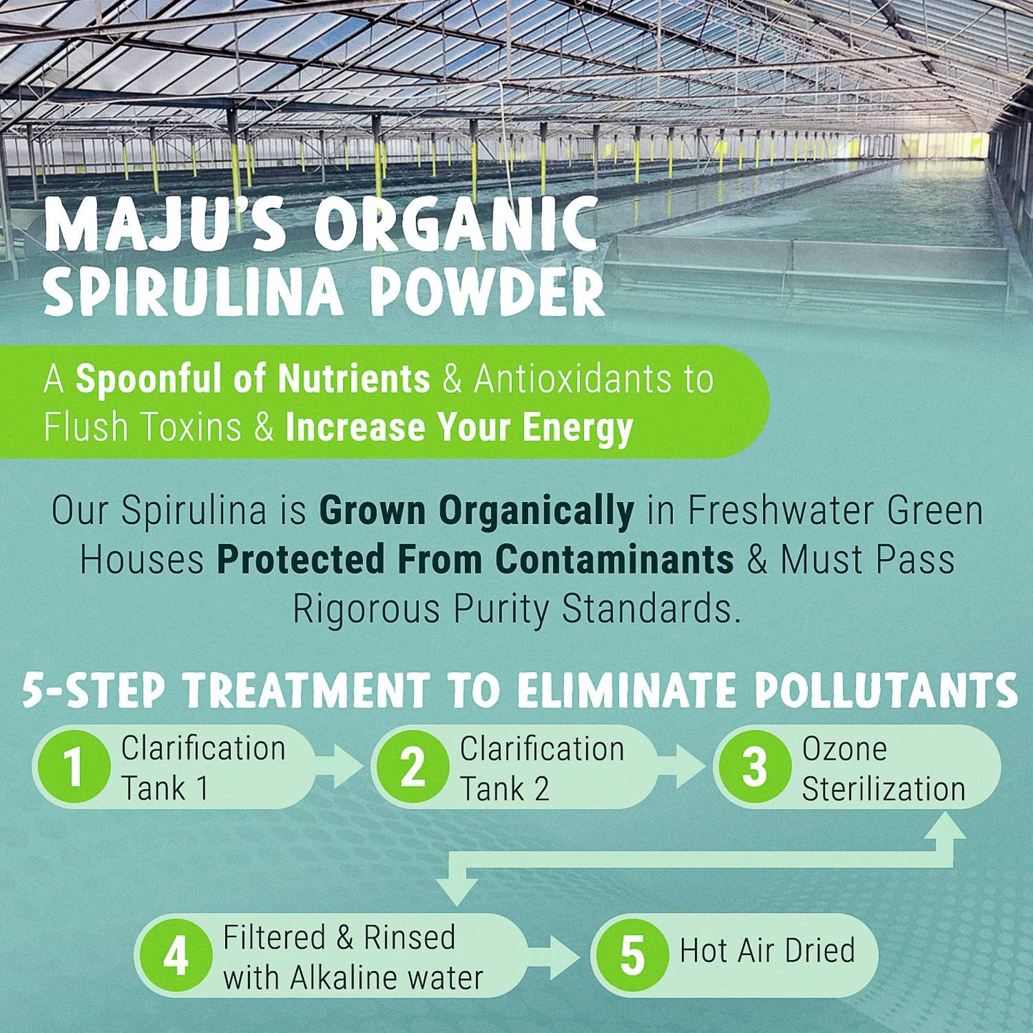 MAJU Organic Spirulina Powder .5 lb – Microcystin Free & Non-Irradiated