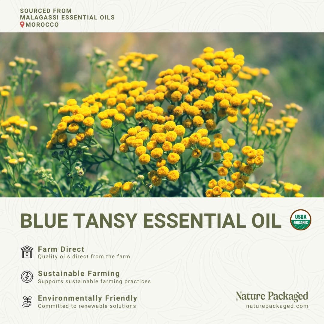 Organic Blue Tansy Essential Oil 5 mL – Malagassi Essential Oils | Face Oil, Candle & Soap Making