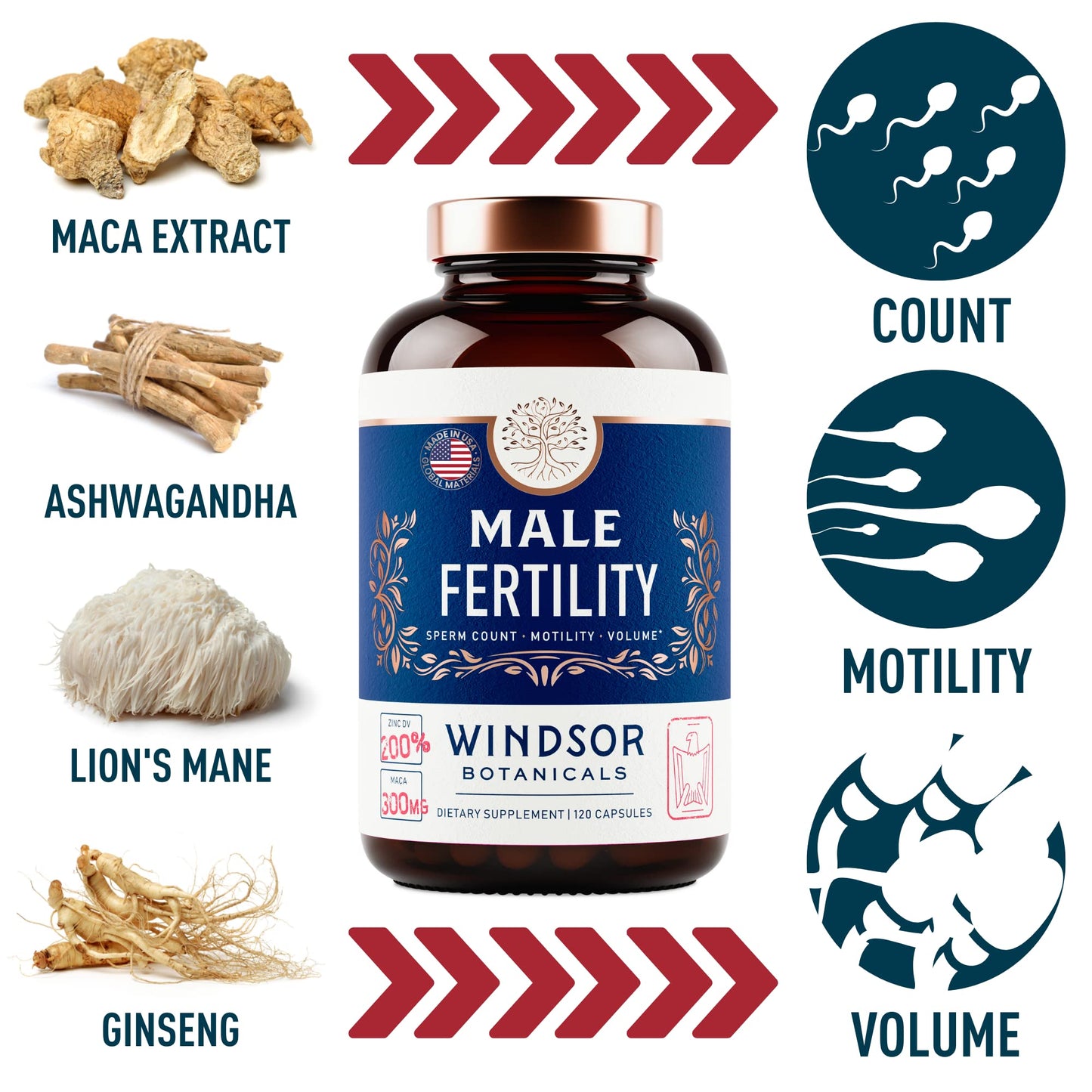 Male Fertility Supplement with Maca Root – 120 Capsules (2 Month Supply) | 3rd Party Tested